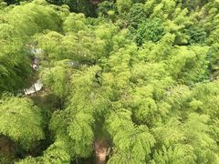 -山沟沟景区