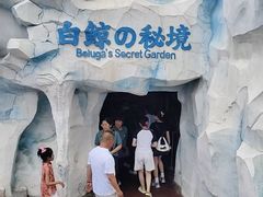 -秦皇岛乐岛海洋王国