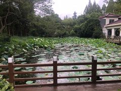 -上海怡沁园度假酒店