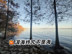 -洱海月湿地公园