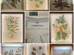 -广东省博物馆