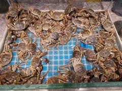 -一方渔歌蒸汽海鲜自助(文化路万达广场店)