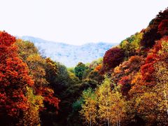 -玉渡山自然风景区