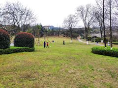 -铁山坪森林公园