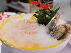 象拔蚌两吃-红雀围·海鲜火锅(陆家嘴中心店)