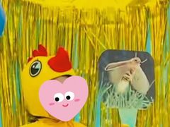 -MICC蒙世学堂幼儿园(灵山校区)