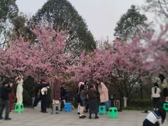 -南山植物园