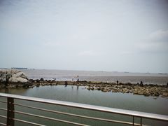 -吴淞炮台湾湿地森林公园烧烤区