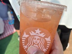 -长春奥林匹克公园