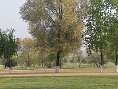 -汉长安城未央宫国家考古遗址公园