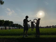 -迪茵湖田家舍生态农场