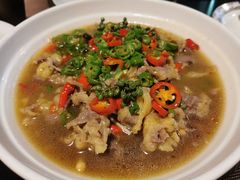 -陈麻婆豆腐总店