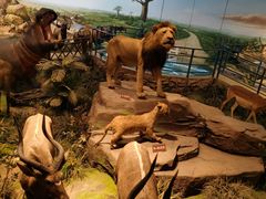 -陕西自然博物馆