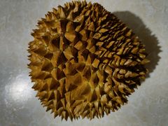-盒马鲜生(双清路店)