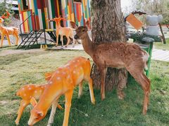 -北京鹿世界主题园