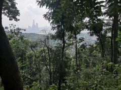 -岳麓山风景名胜区