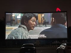 -枫花园汽车电影院(朝阳公园店)