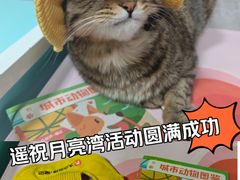 -瑞虹新天地月亮湾