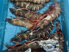 -ZF Seafood Restaurant 卓峰海鲜餐