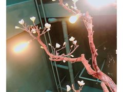 -梧桐树下(云锦世家店)