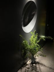 点击看大图 -美壹生皮肤管理中心