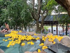 -湖泉半山温泉