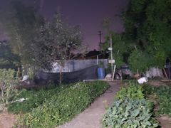 -大眼强五杯鹅·桑拿鸡煲