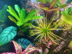 -Rabbit Cafe私房西餐甜点咖啡(栖霞路店)