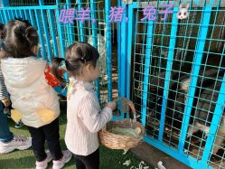 -小蜜蜂农场(凯德七宝购物广场店)