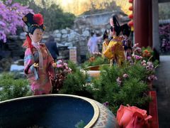 -白家大院·王府宫廷菜(苏州街店)