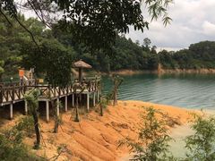 -广州市流溪河国家森林公园