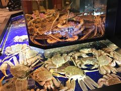 -蟹道乐(道顿堀本店)