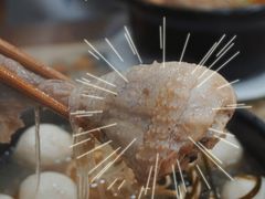 -清真·穆萨砂锅(大皮院店)