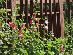 -潭柘厚院(桑峪村店)