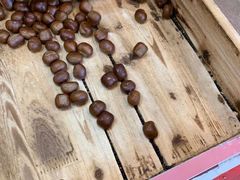 -阿男野栗王(金门路店)