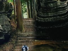 -梭布垭石林景区