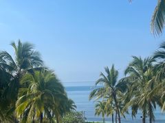 -日落吧·海景咖啡厅·餐酒吧·鸡尾酒·下午茶·乐队表演·浪漫夕阳·三亚文华东方酒店