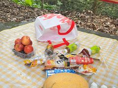 -火炉山森林公园
