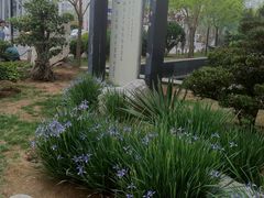 2012-04-21&nbsp;005-天津美术学院-校史馆