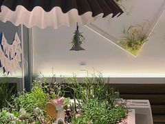 -春树下·树屋花房西餐厅(罍街AS1980店)