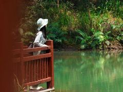 -广州白江湖森林公园