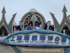 -上海海昌海洋公园