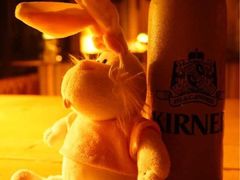 苦苦的柚子茶和呆呆的二货兔-伽蓝殿民宿