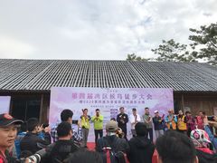 -大湾区中央湿地公园