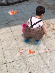 -可可天空农场(中大店)