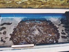 -宜宾海鲜酒家·三十年老字号