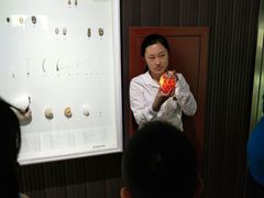 -青岛贝壳博物馆
