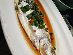 -绿茶餐厅(龙湖星悦荟店)