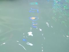 -鞍山岫岩沟汤温泉