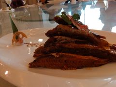 -聚宝渔港.五钻酒家(上地店)